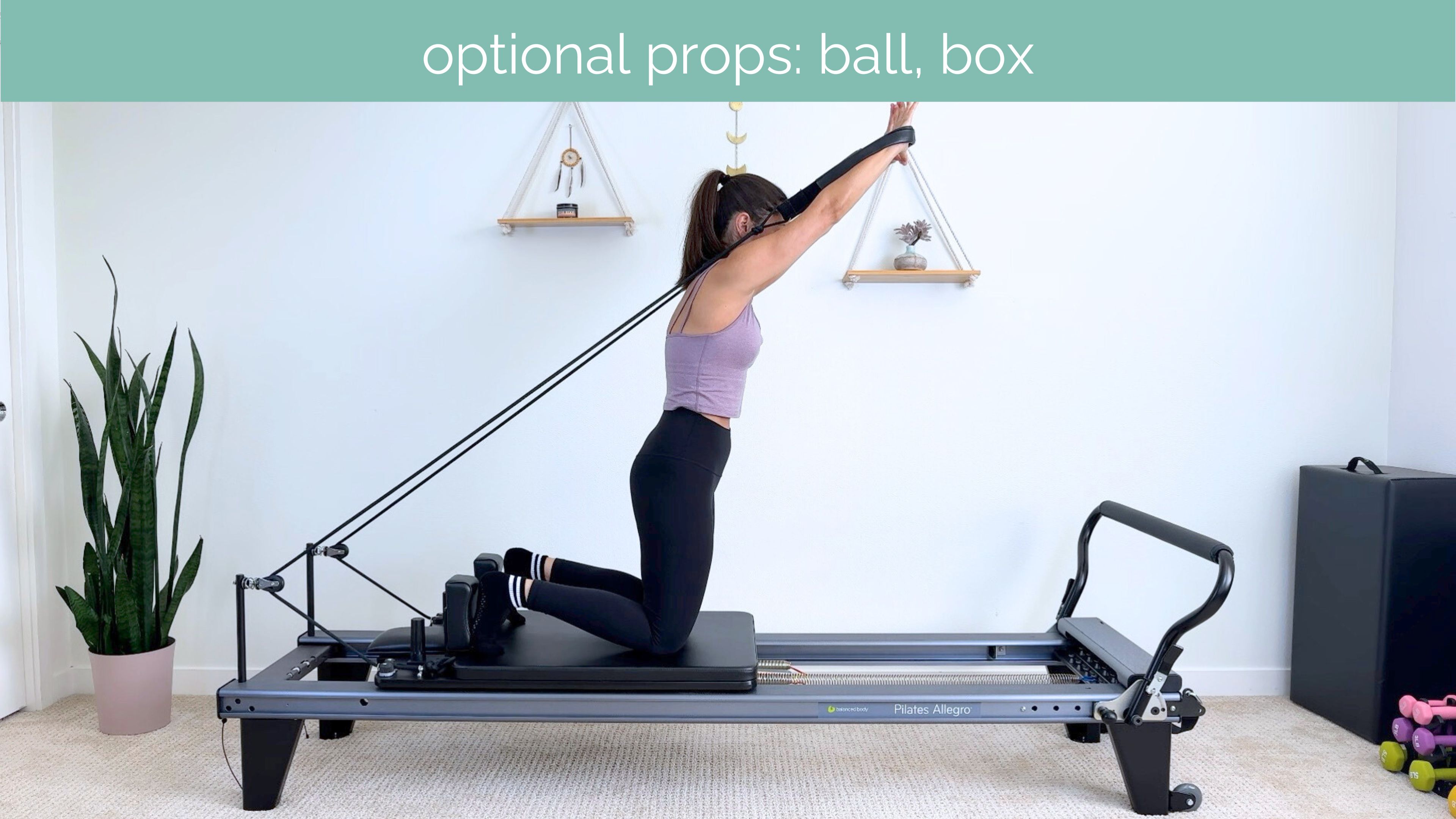 All Levels Reformer #08