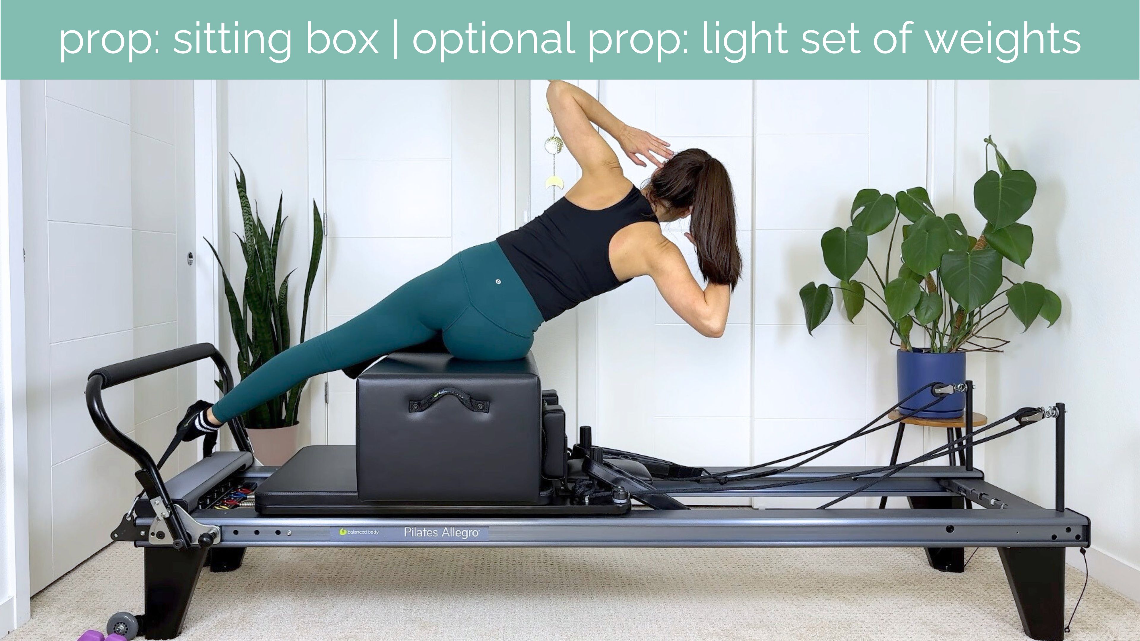 Intermediate Reformer #28