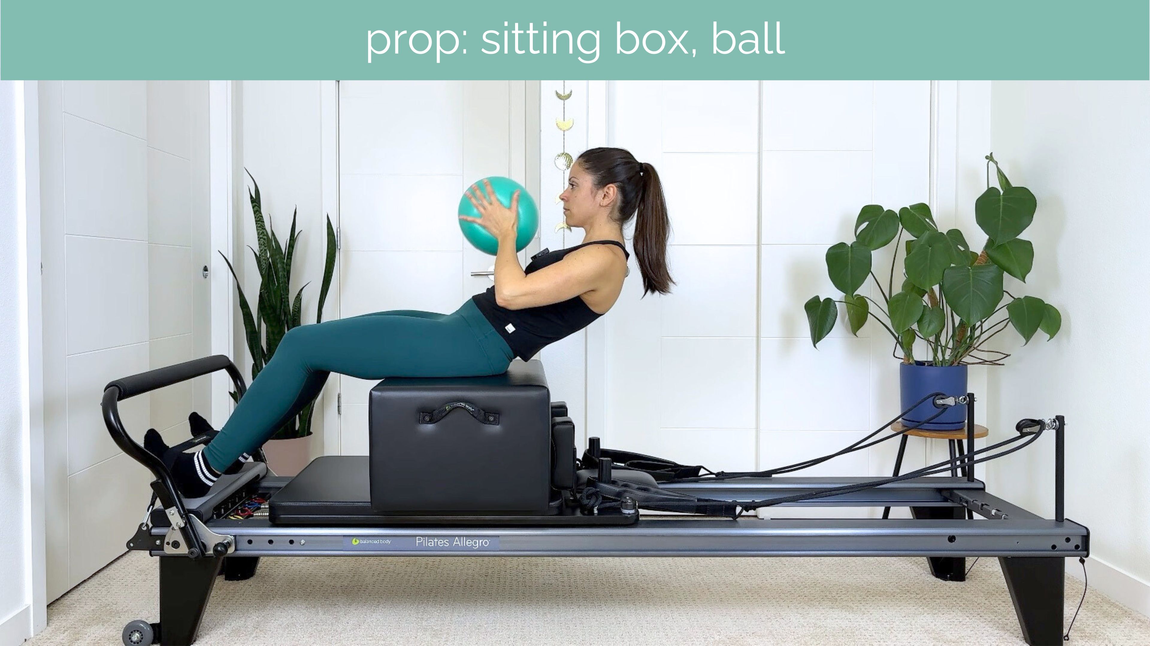 All Levels Reformer #27