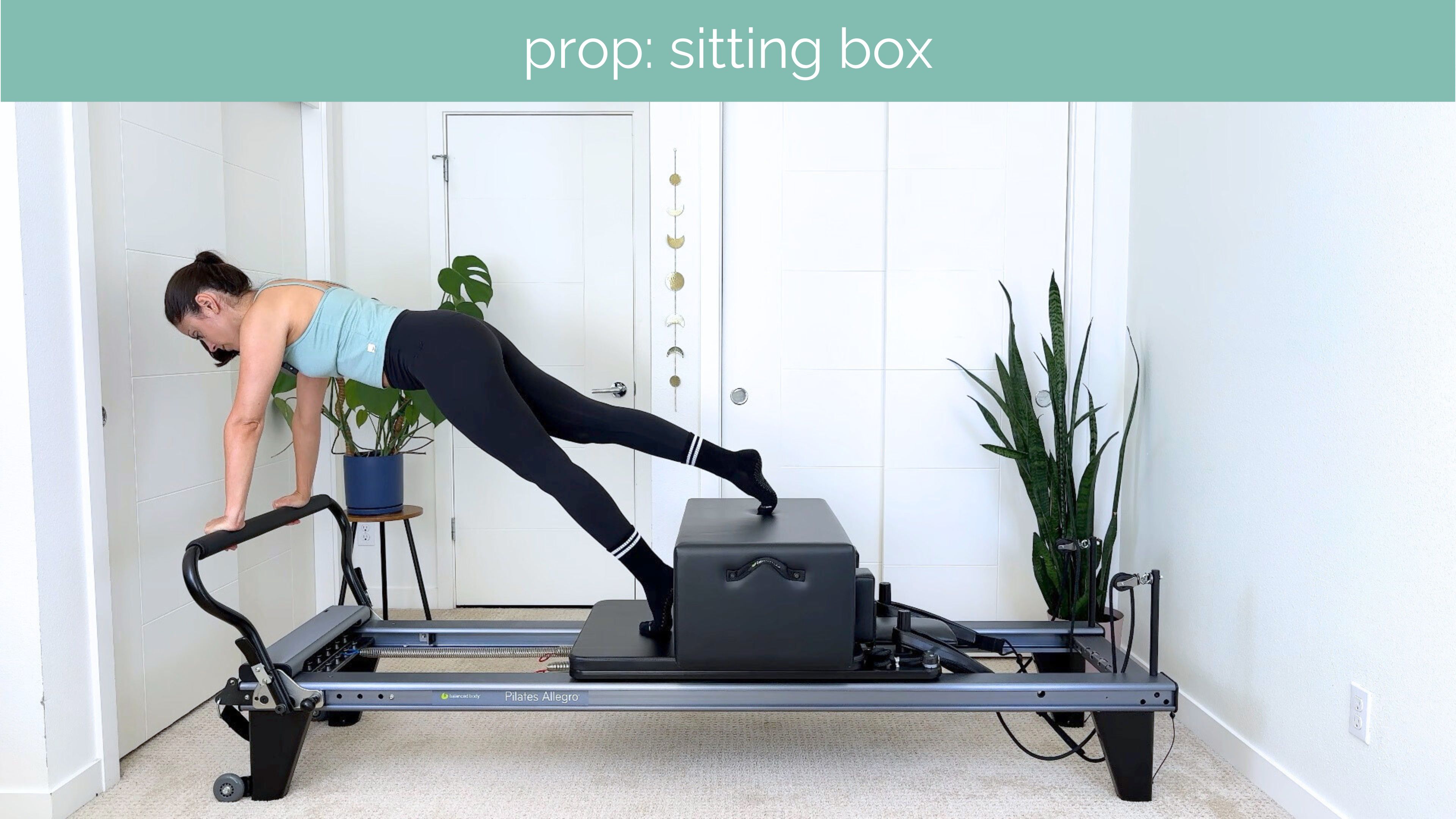 All Levels Reformer #55