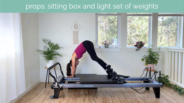 Intermediate Reformer #77