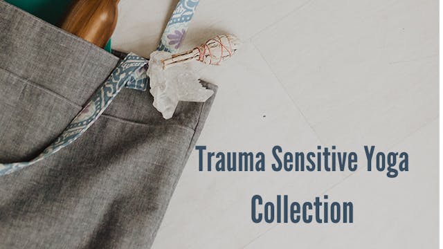 Trauma Sensitive Yoga Collection