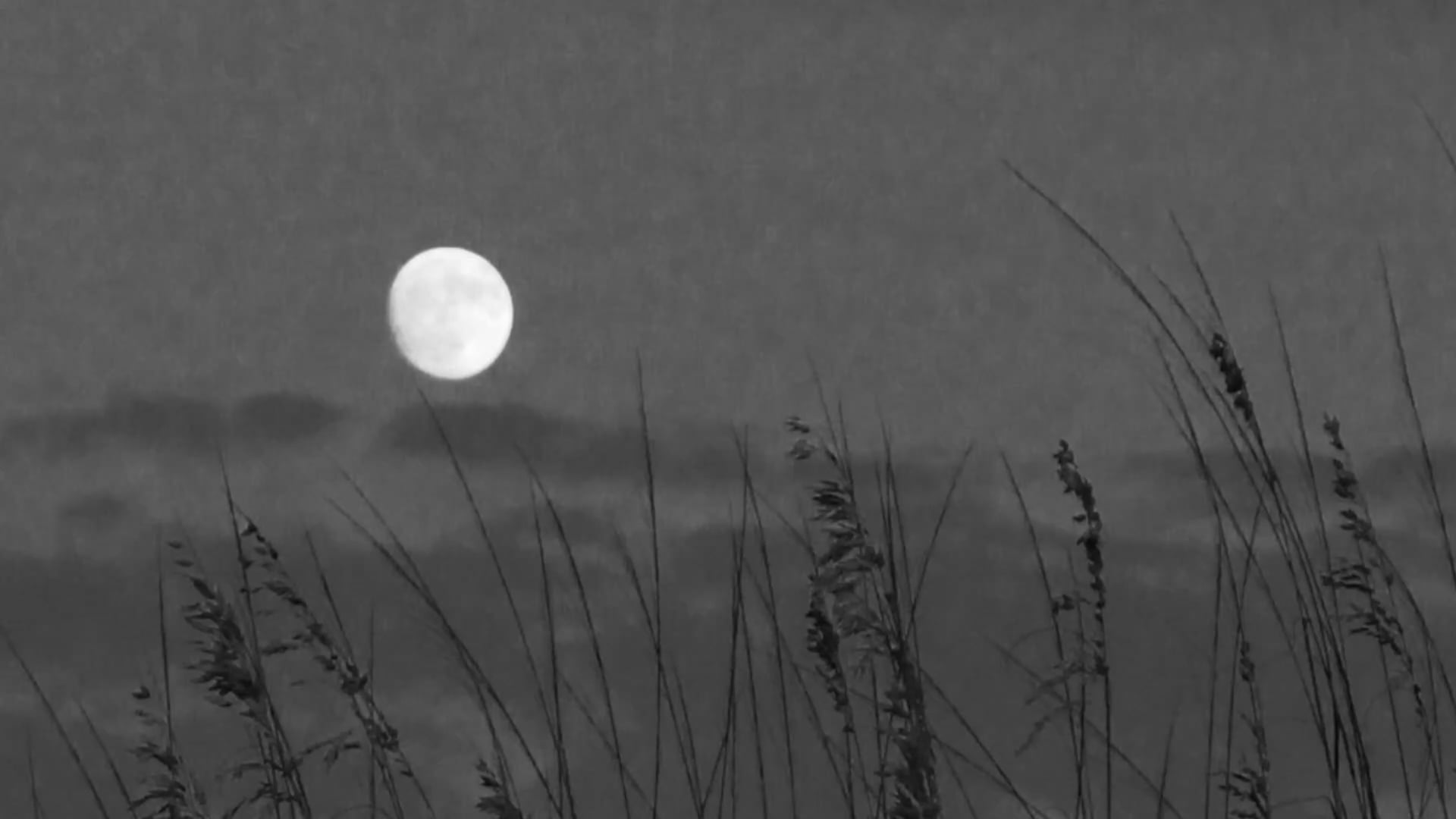 Releasing: Full moon meditation 