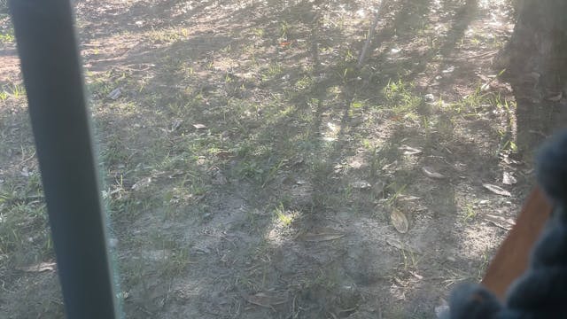 Full moon meditation harvest