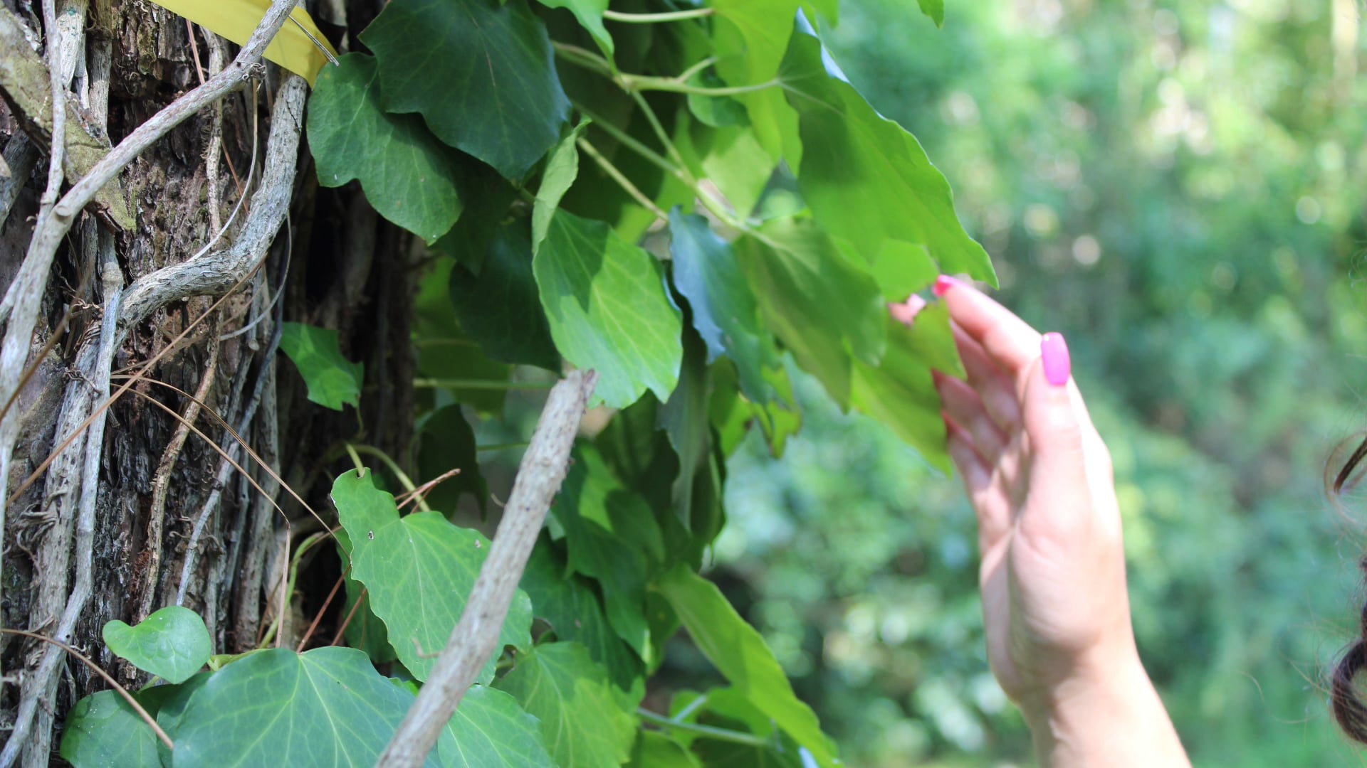 Grounding into Gratitude