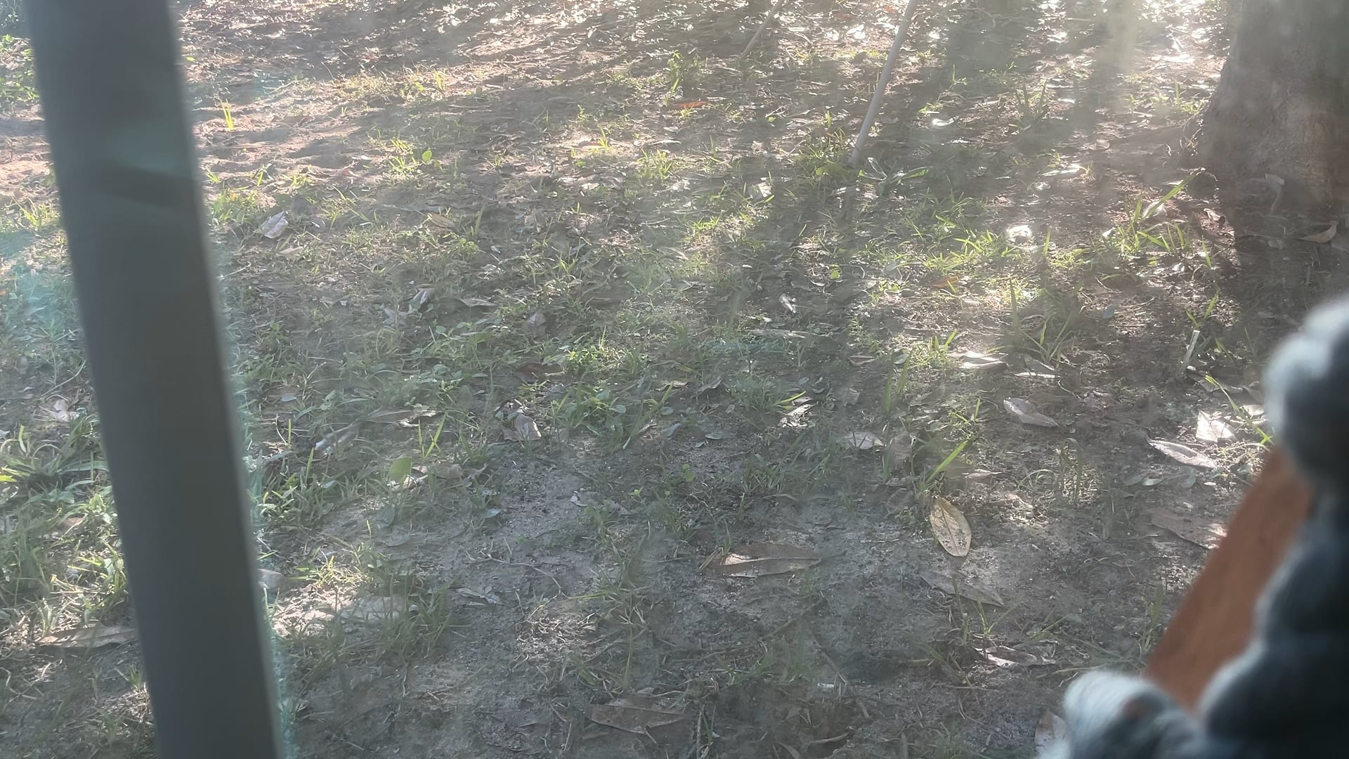 Waxing Gibbous moon refine