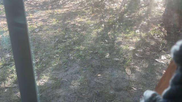 Waxing Gibbous moon refine