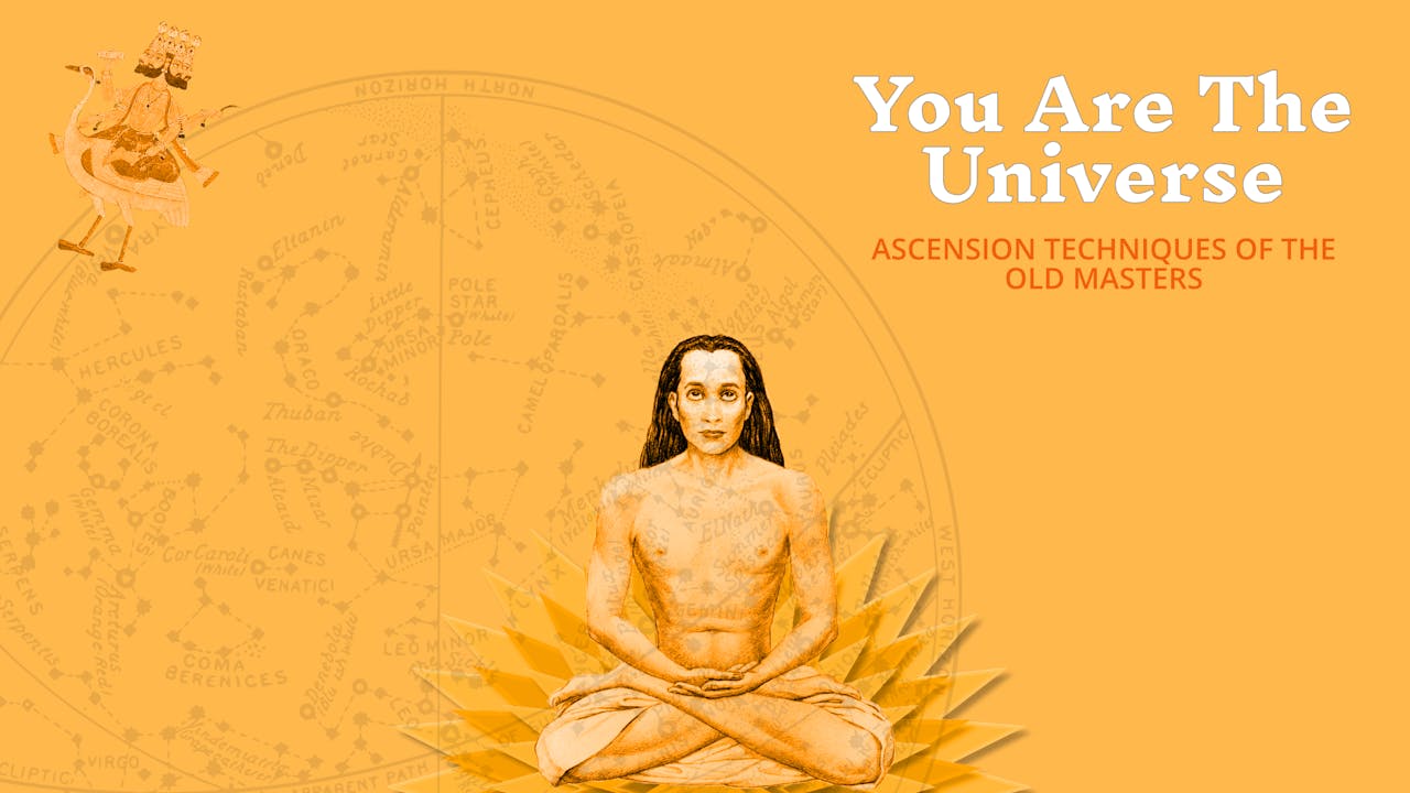 You Are The Universe