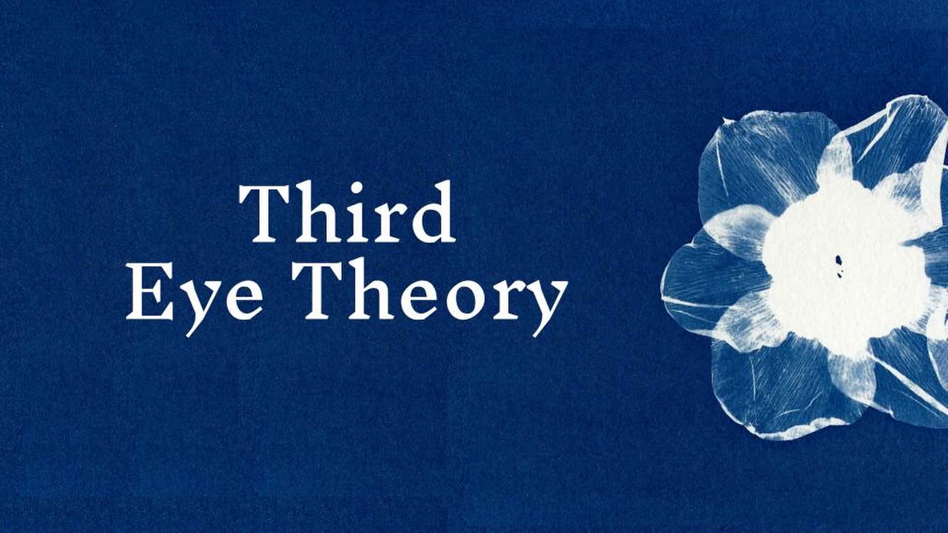 AT3E_Third Eye Theory