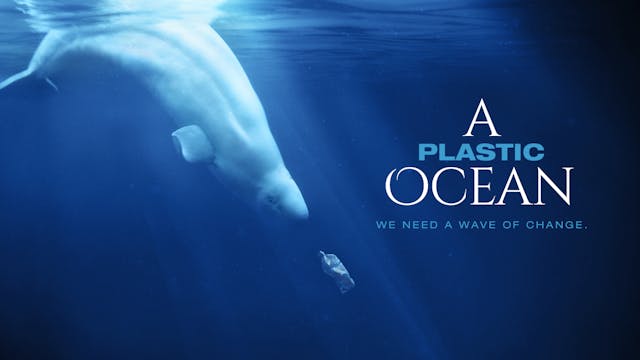 A PLASTIC OCEAN - Official Trailer