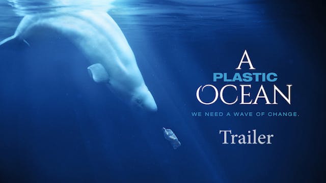 A PLASTIC OCEAN - Official Trailer 