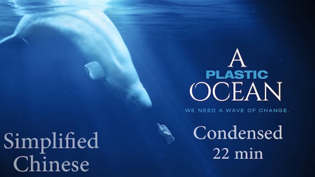 A PLASTIC OCEAN Condensed, Simplified Chinese Subs