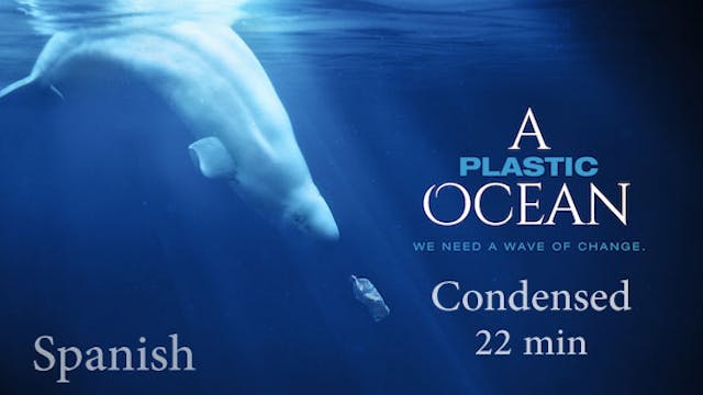 A PLASTIC OCEAN - Condensed, Subtitulado Español