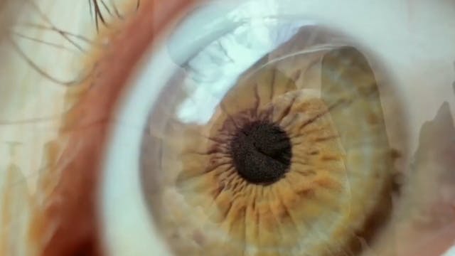 Episode 1 - Life's Quest For Meaning