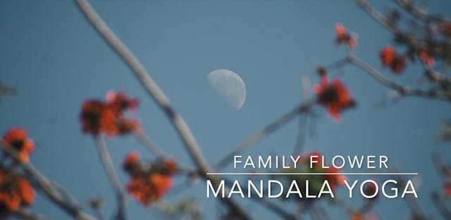 FAMILY - Flower Mandala Yoga