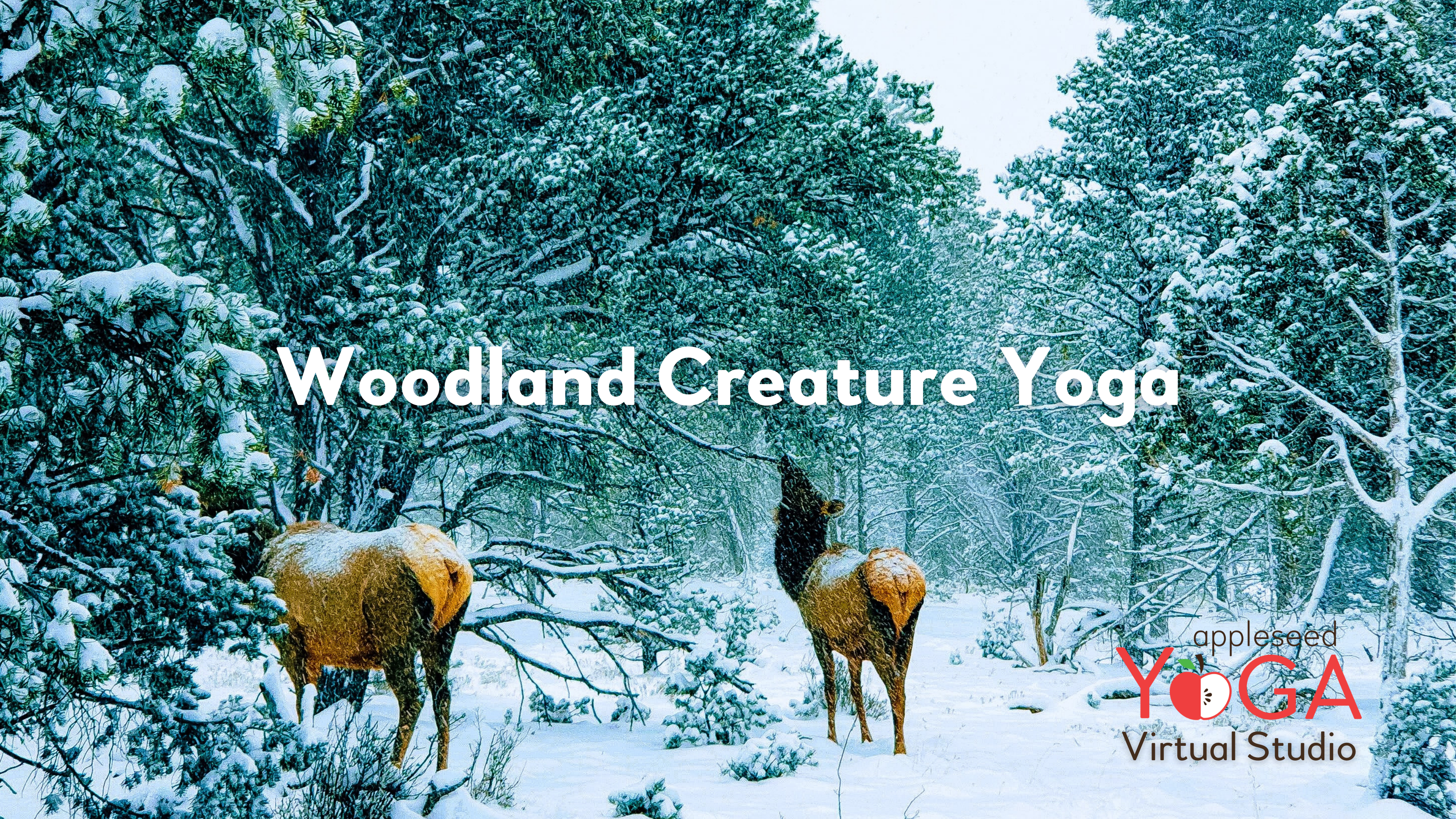 Woodland Creature Yoga