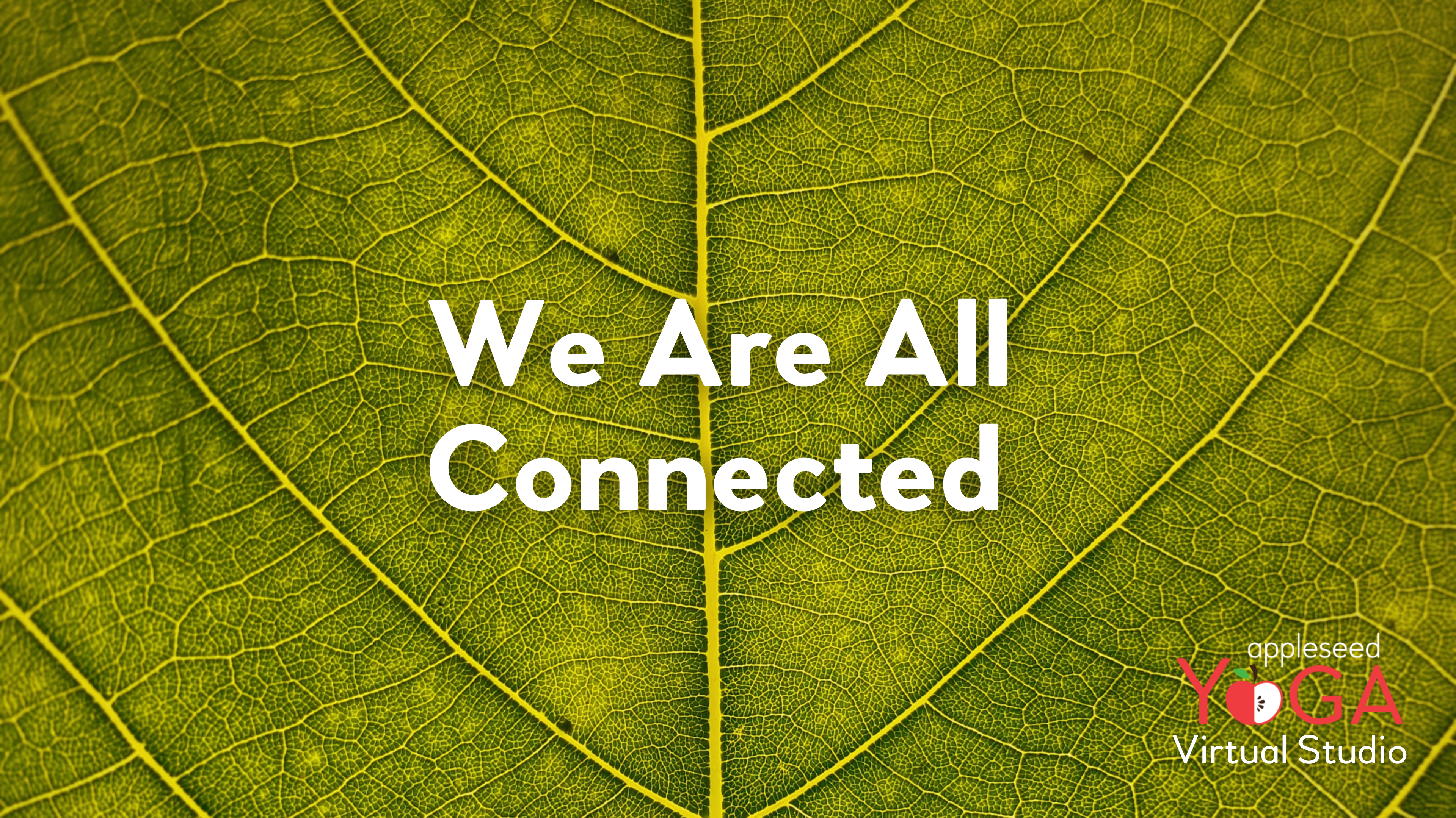 We Are All Connected
