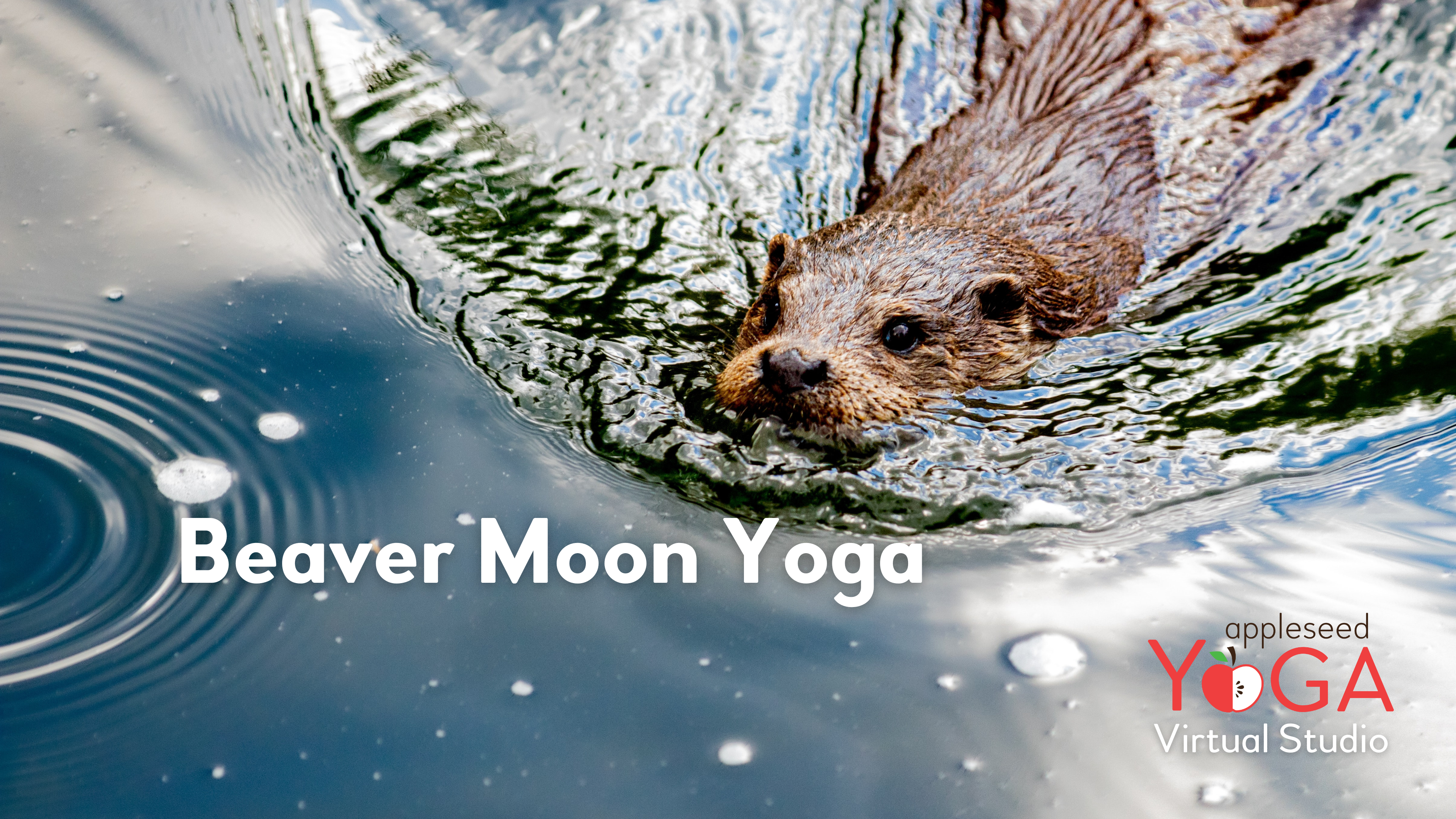Beaver Moon Yoga 🦫