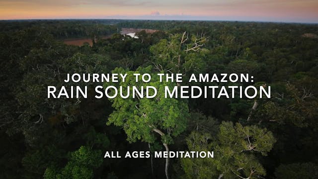 MEDITATION - Amazon Rain Sound