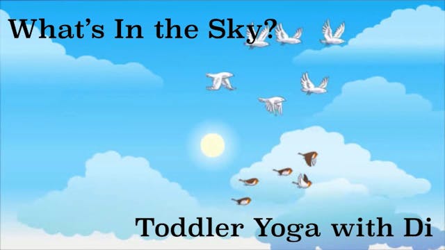 TODDLER - What's in the Sky?