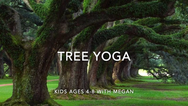 KIDS - Tree Yoga