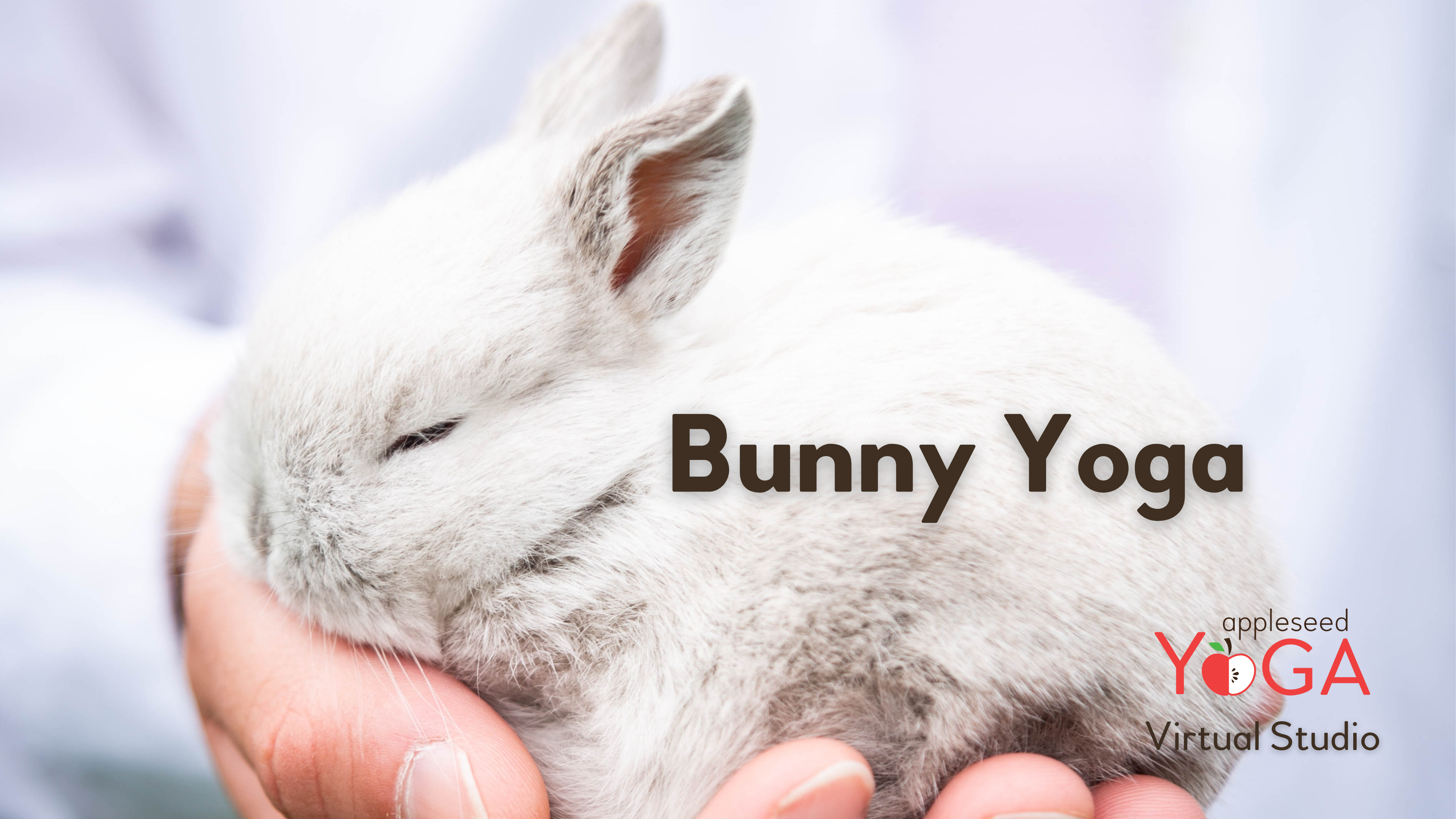 Bunny Yoga