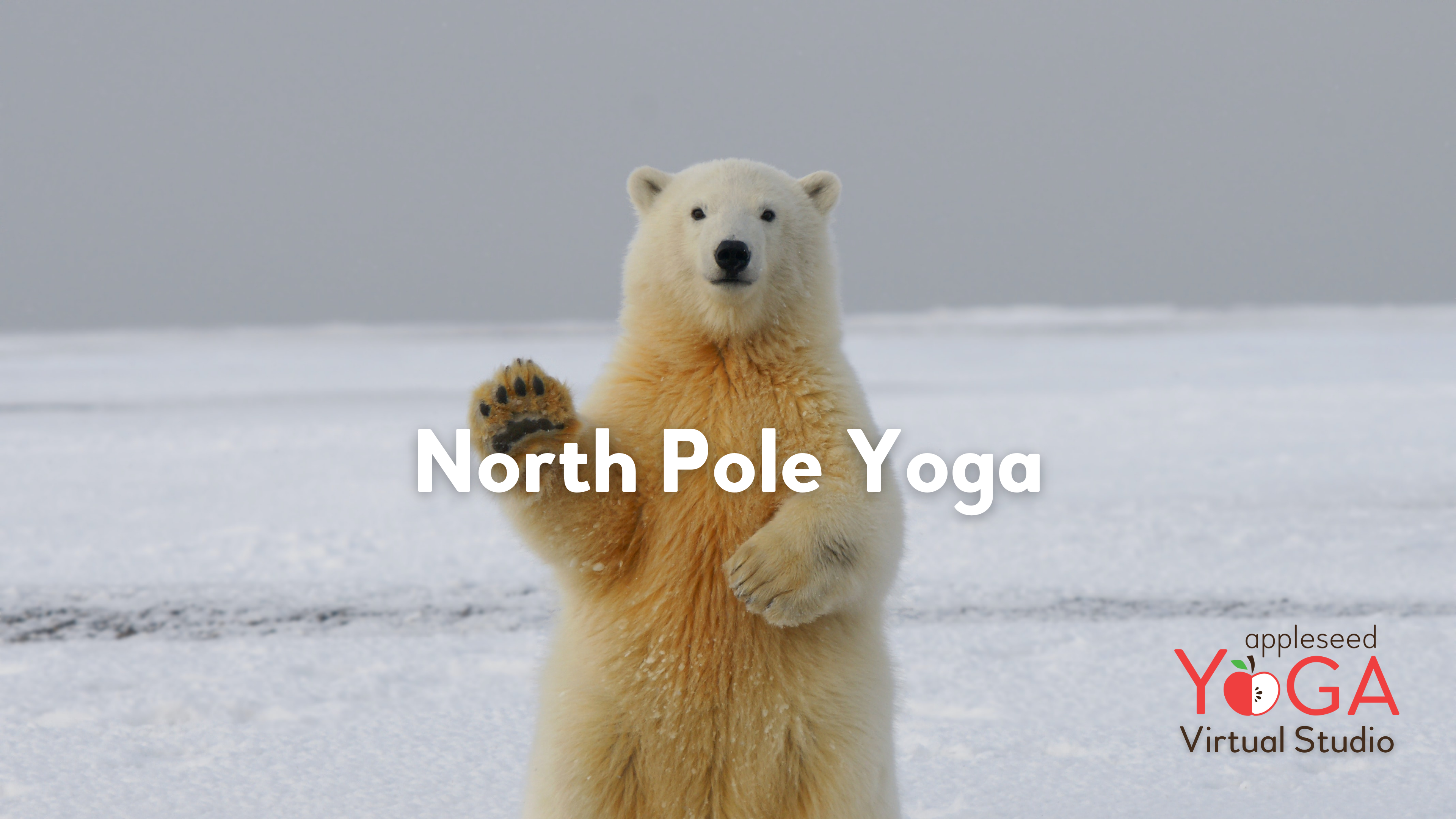 North Pole Yoga