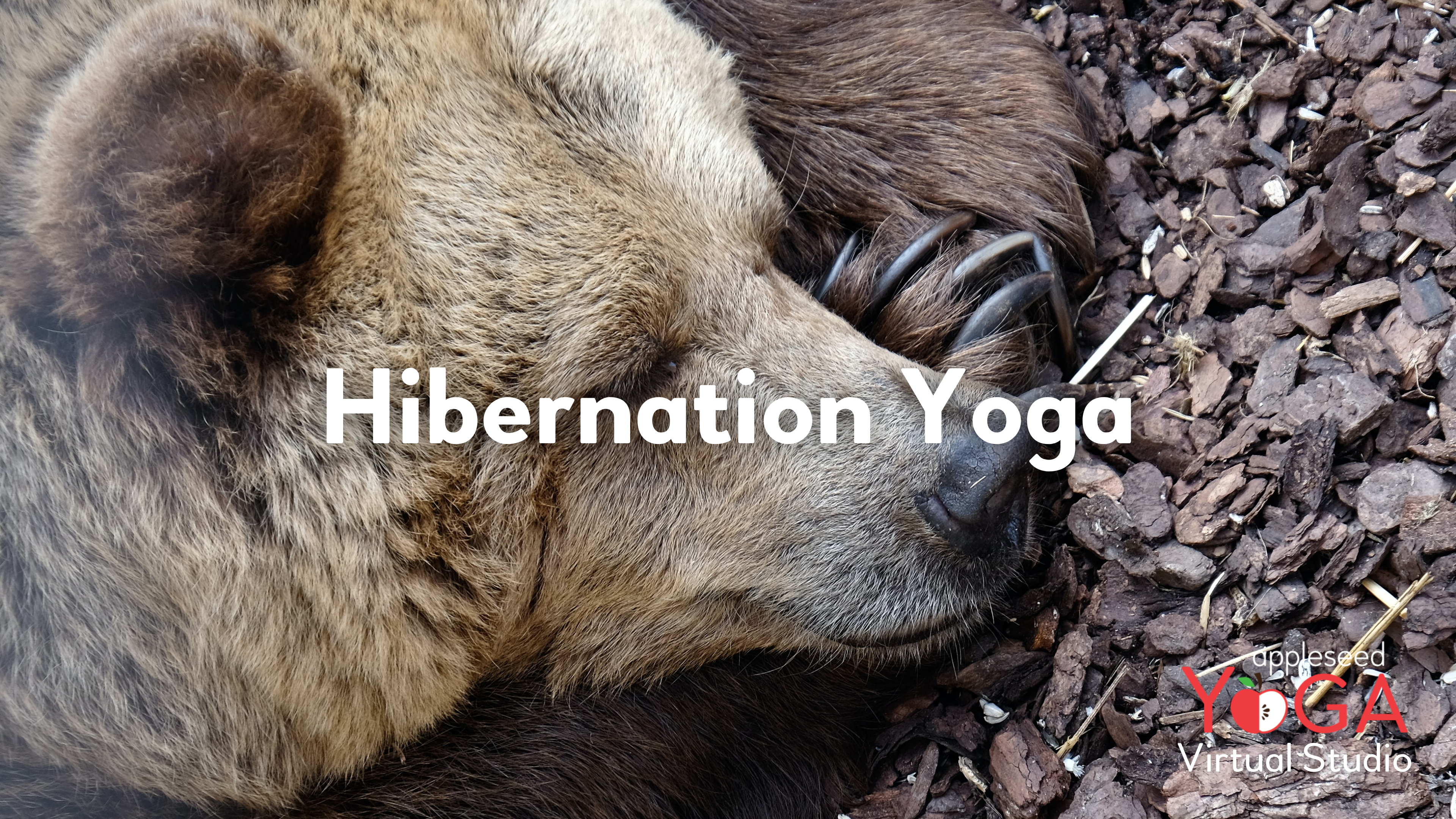 Hibernation Yoga