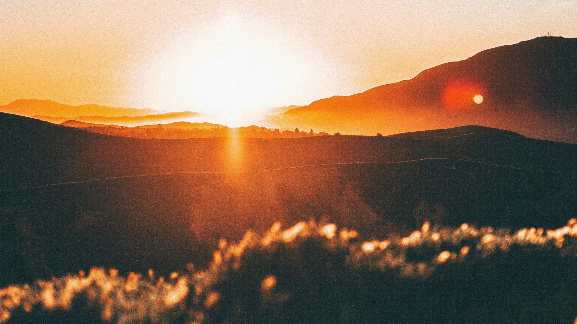 Appleseed Yoga Virtual Studio Video