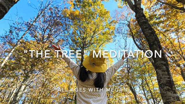 MEDITATION - The Tree