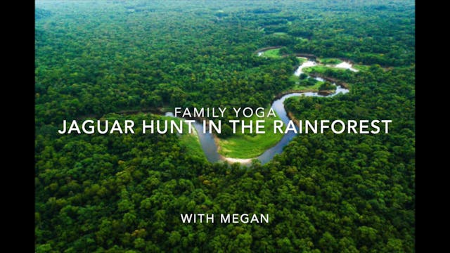 FAMILY - Jaguar Hunt in the Rainforest