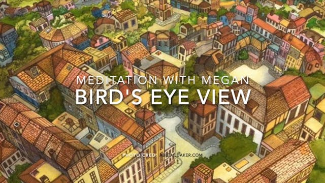 MEDITATION - Bird's Eye View