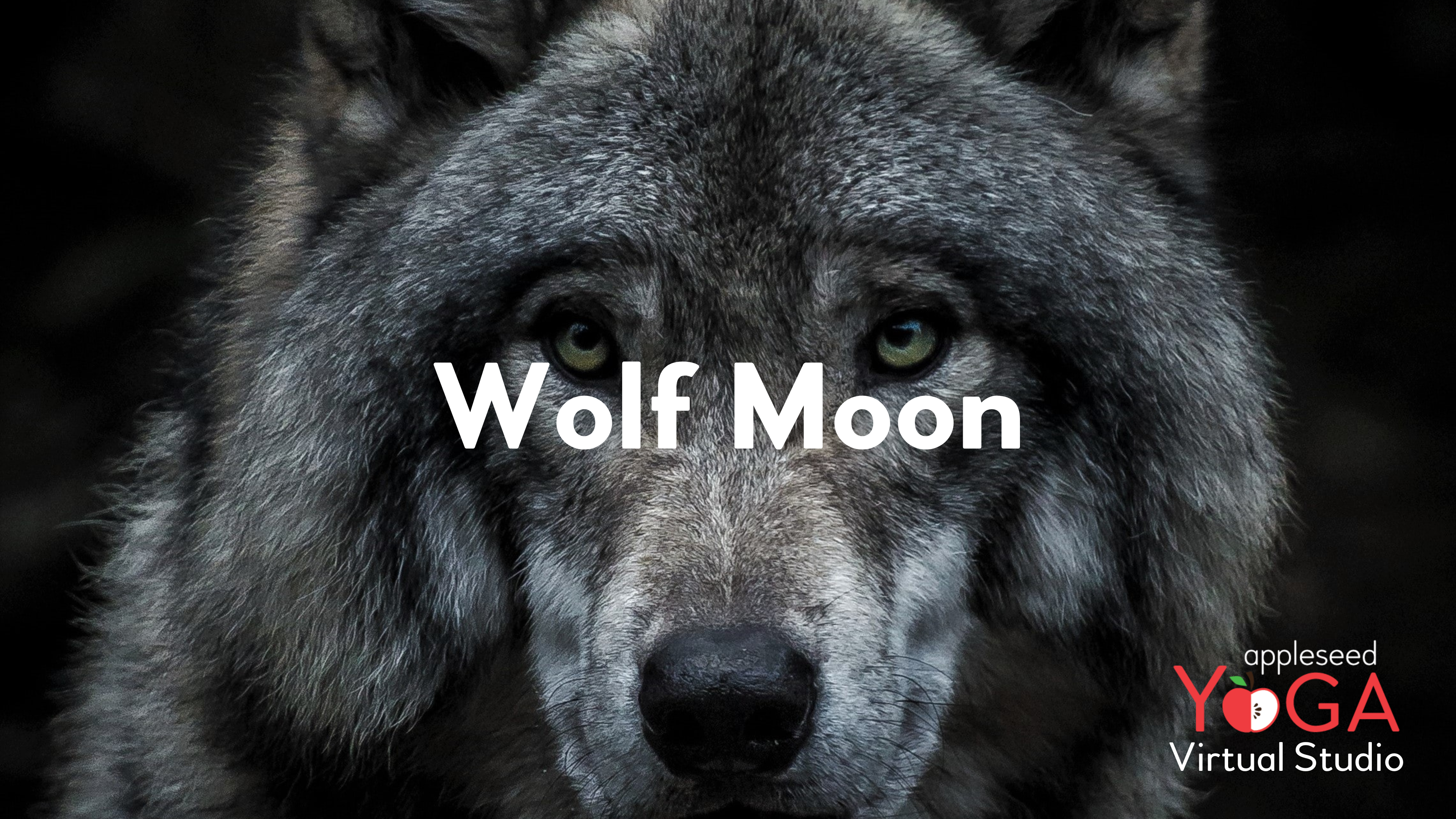Wolf Moon Yoga 🐺
