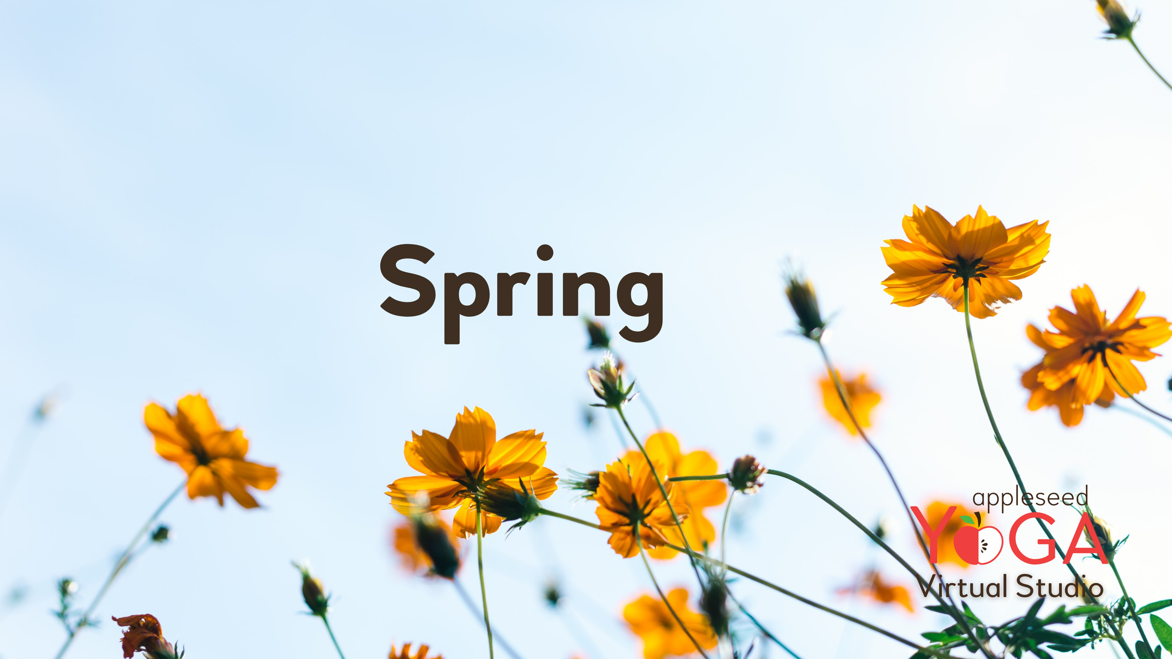 Spring Yoga