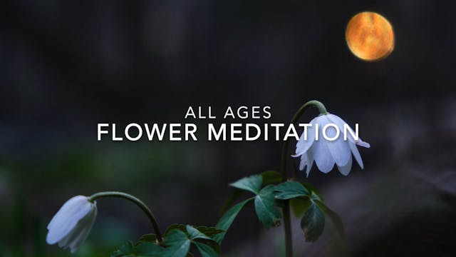 MEDITATION - Flowers