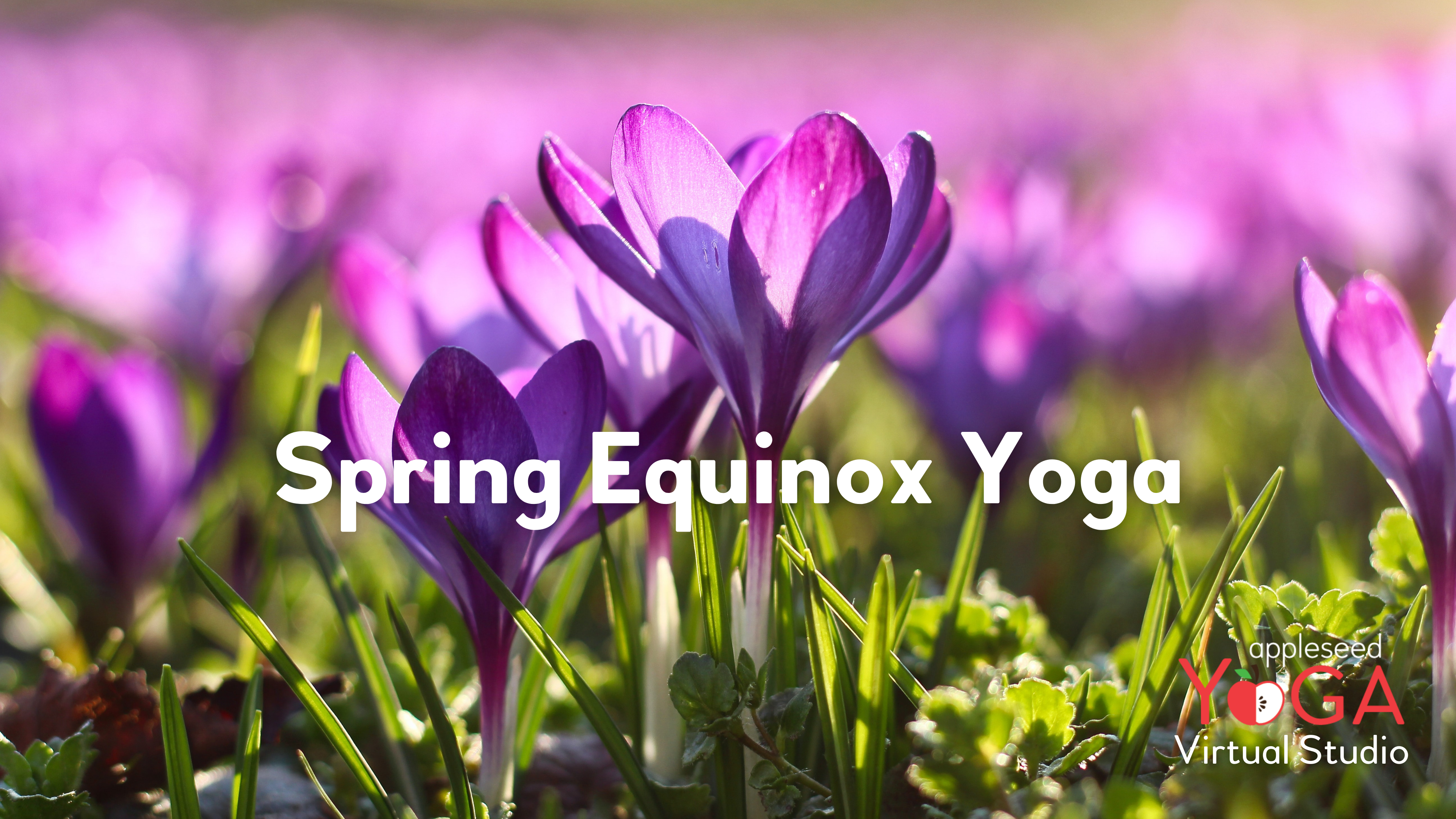 Spring Equinox Yoga 🌷