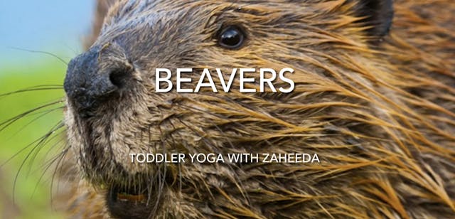 TODDLER - “I am a Beaver” by Paul Cov...