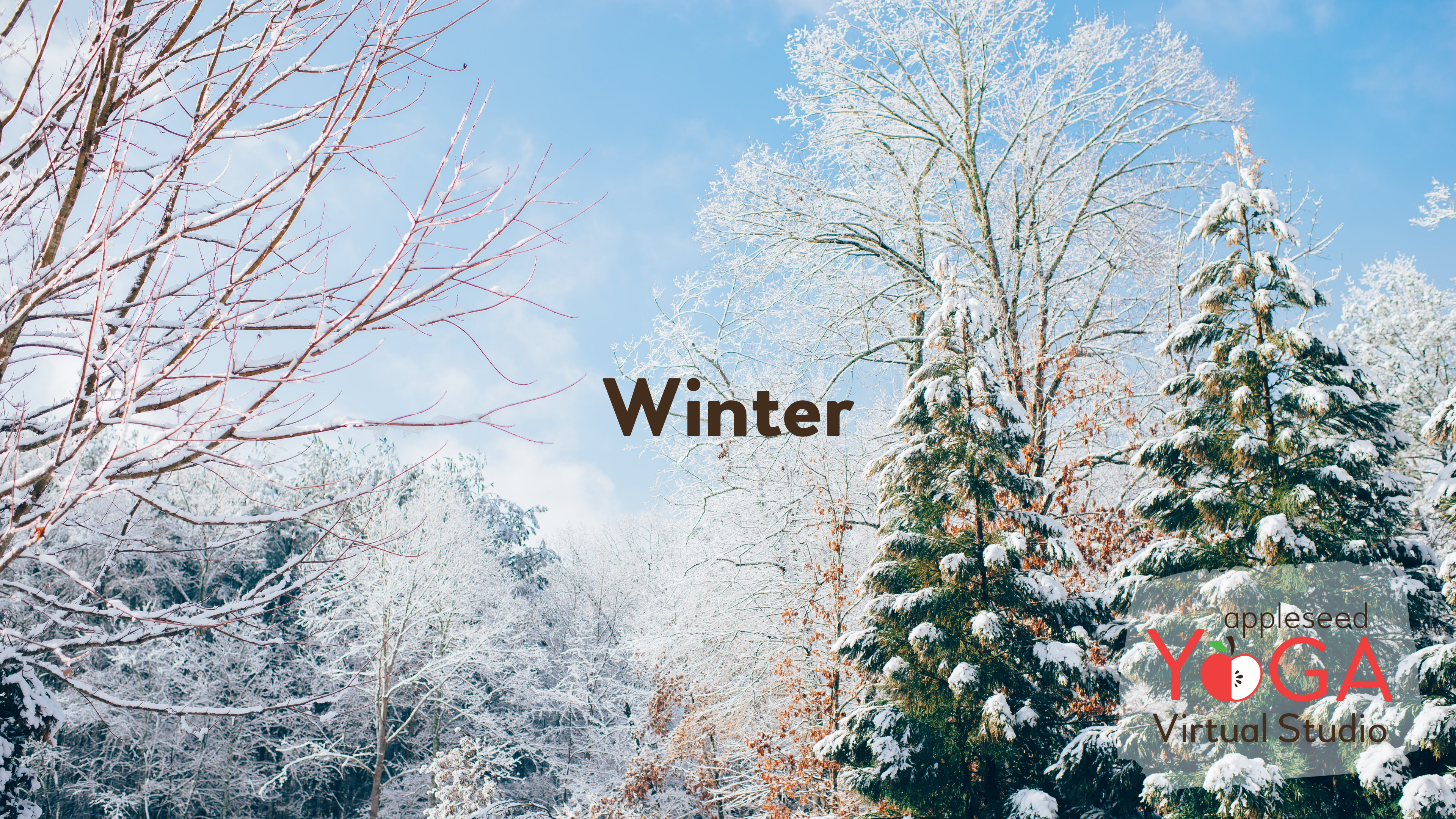 Winter Yoga