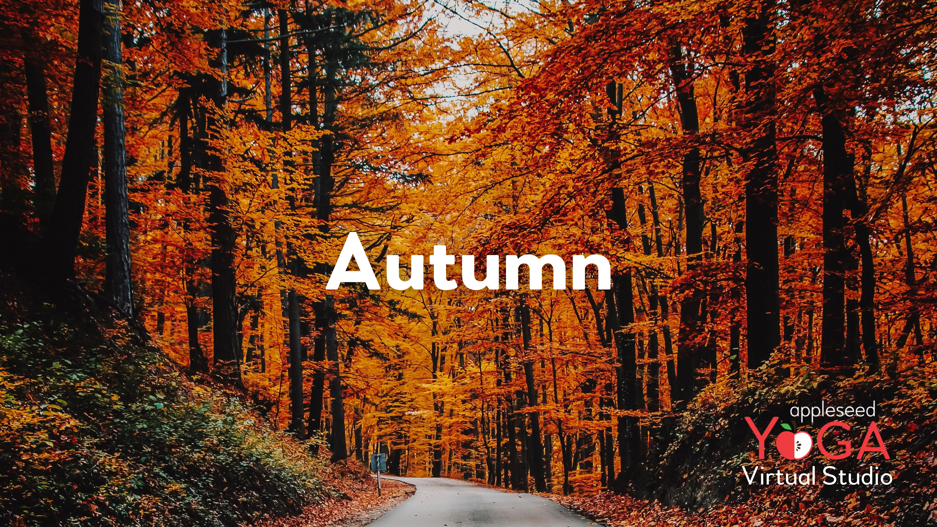 Season: It's Autumn! 🍂