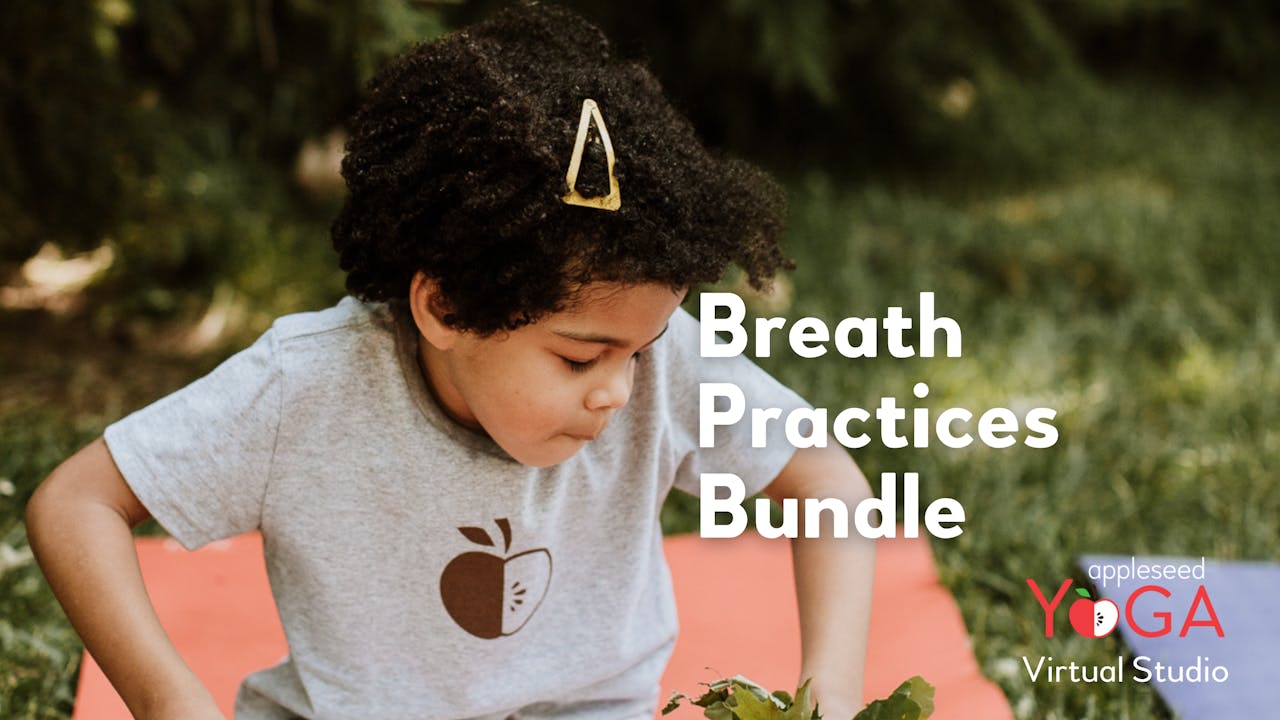 Breath Practices Bundle