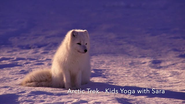 KIDS - Arctic Trek