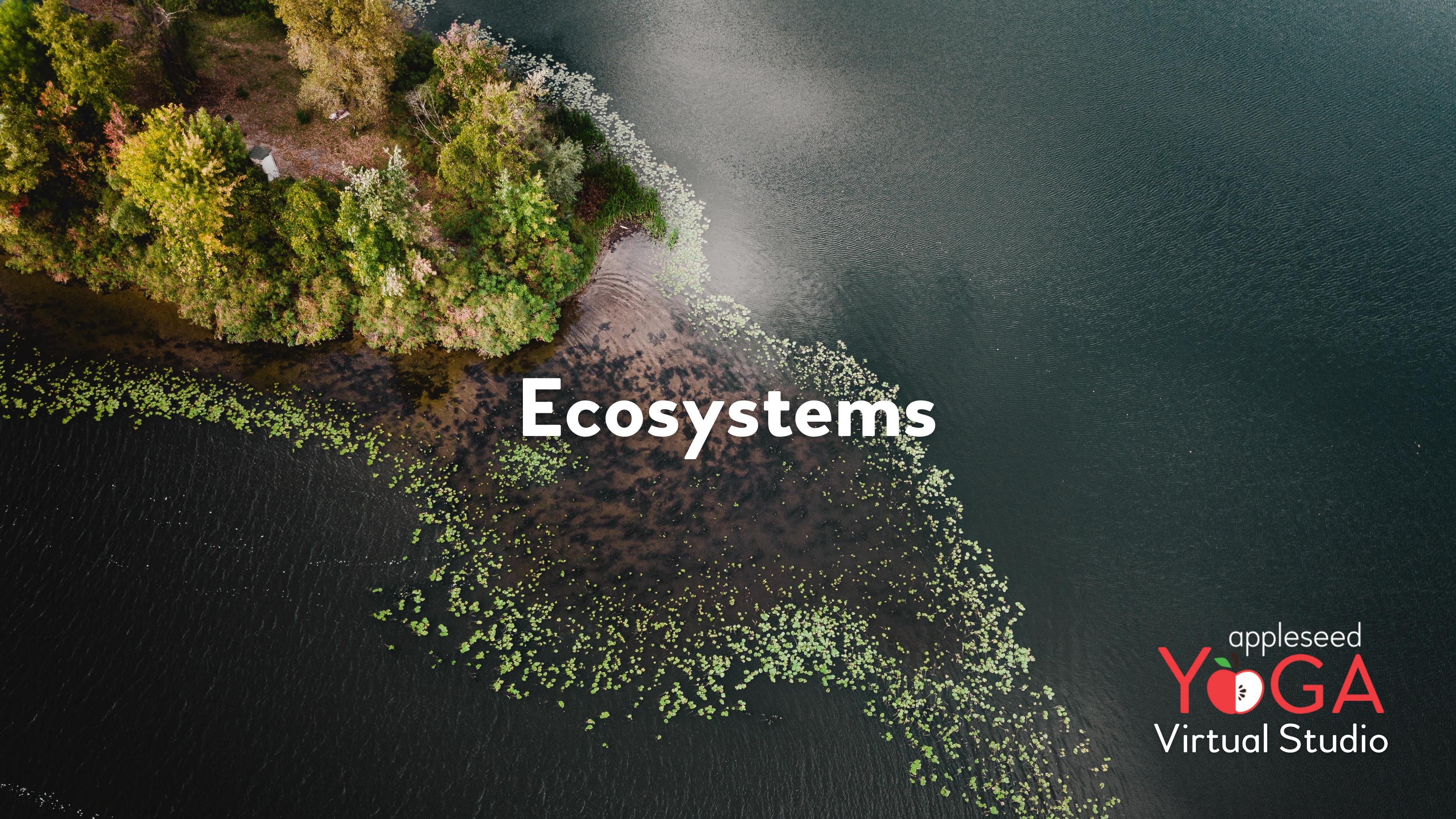 Ecosystems