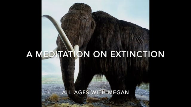 MEDITATION - The 6th Extinction