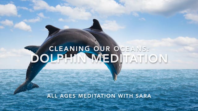 MEDITATION - Dolphin Ride!