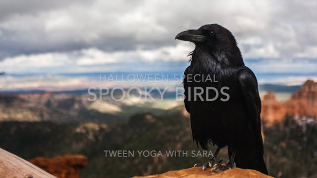 TWEEN - Spooky Birds 