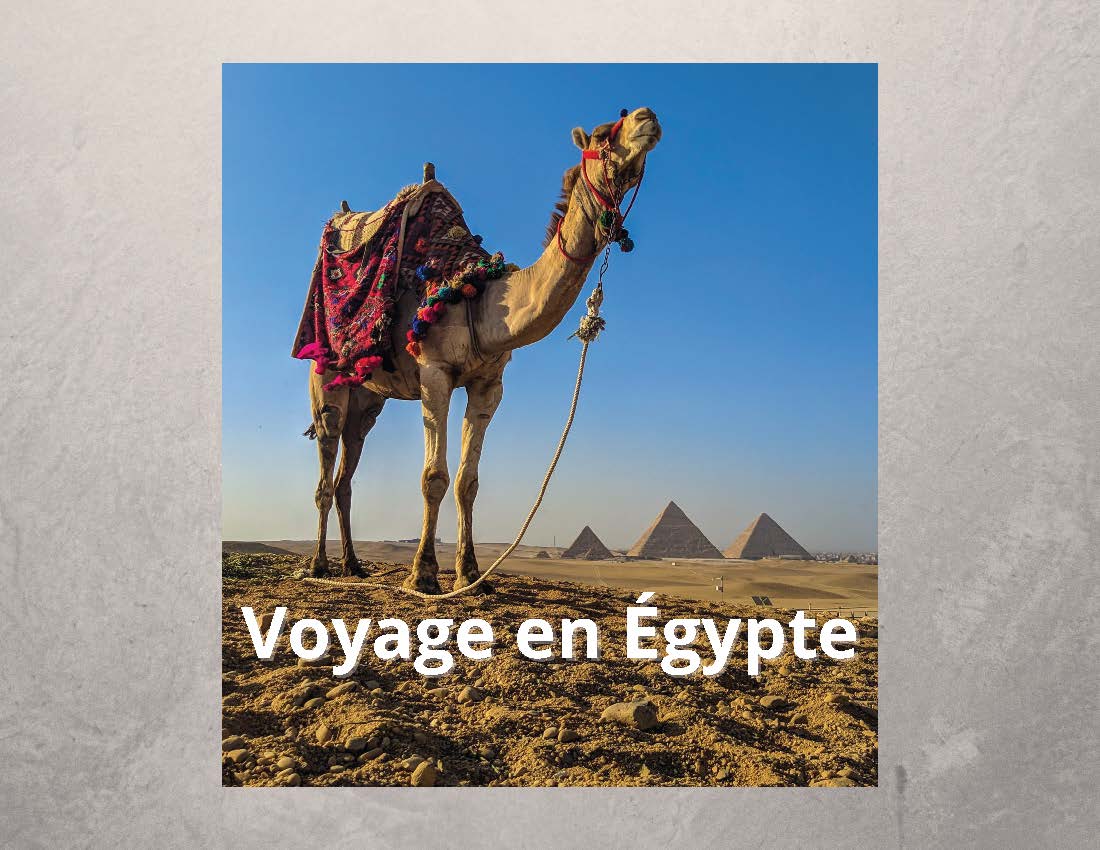 FRENCH - Voyage en Égypte (A Journey to Egypt)
