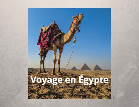 FRENCH - Voyage en Égypte (A Journey...