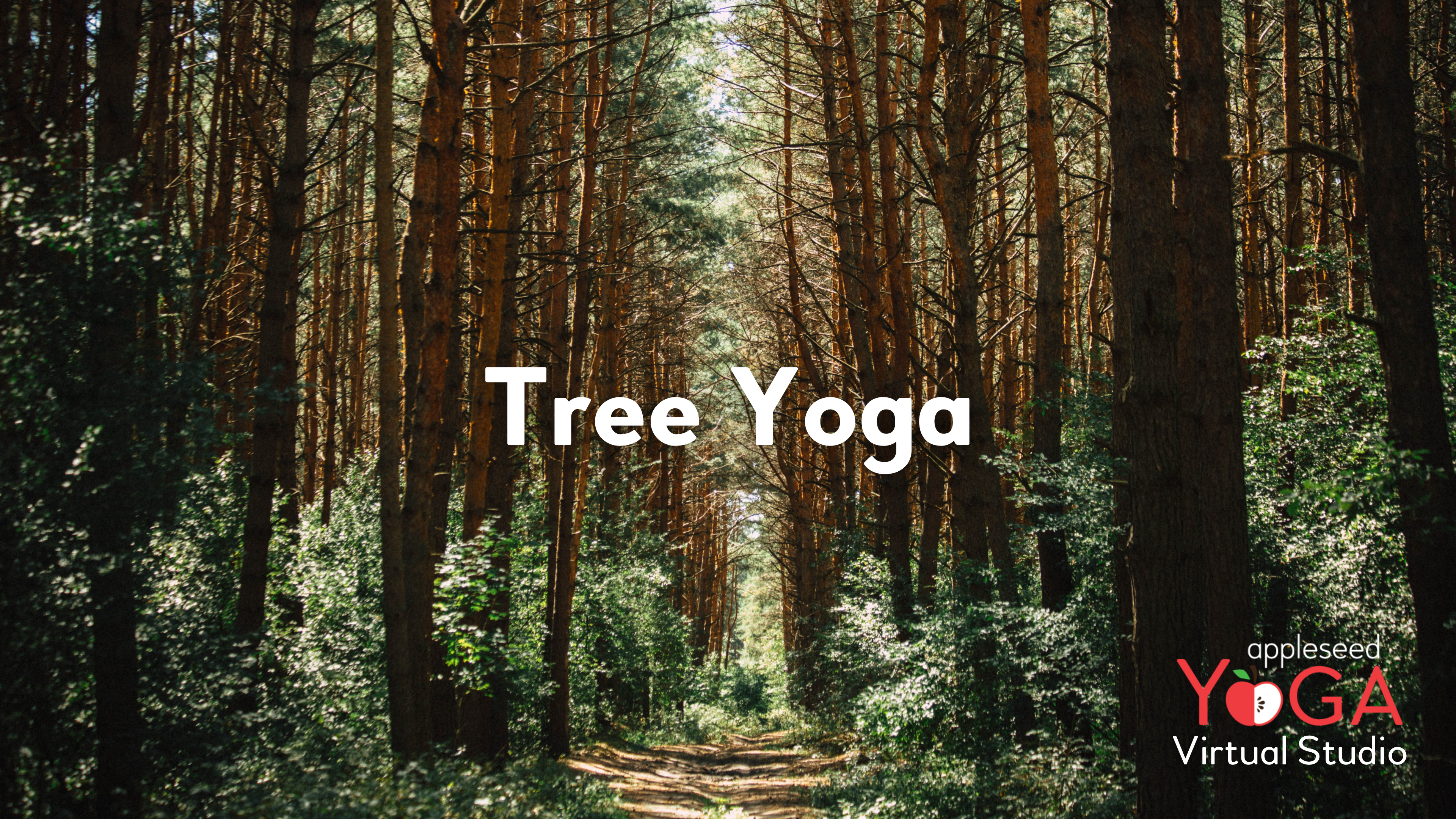 Tree Yoga
