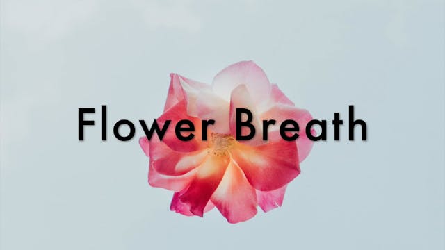 BREATH PRACTICE - Flower Breath