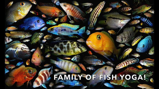 FAMILY - A Family of Fish Yoga 🐠